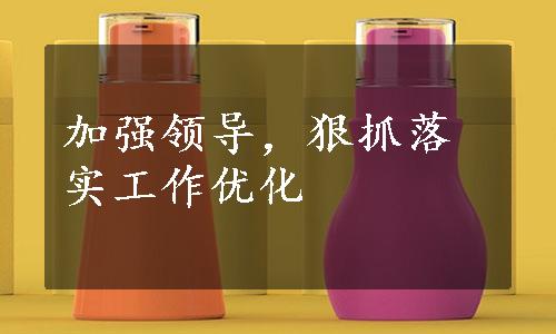 加强领导，狠抓落实工作优化