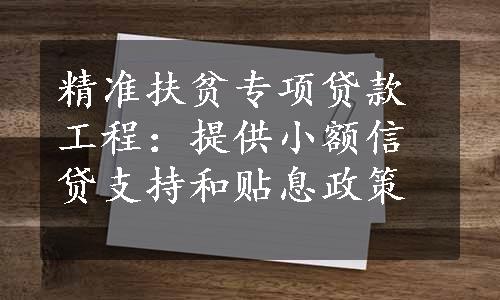 精准扶贫专项贷款工程：提供小额信贷支持和贴息政策