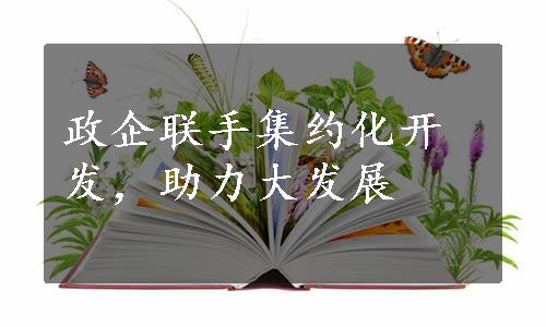 政企联手集约化开发，助力大发展