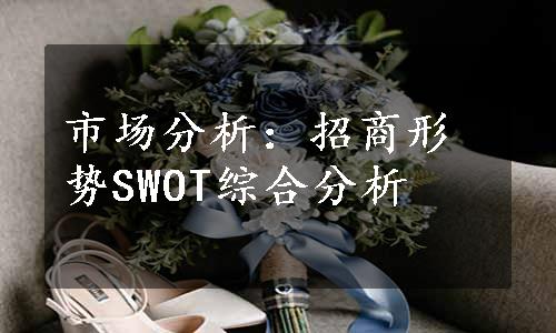 市场分析：招商形势SWOT综合分析