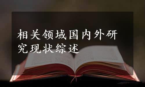 相关领域国内外研究现状综述