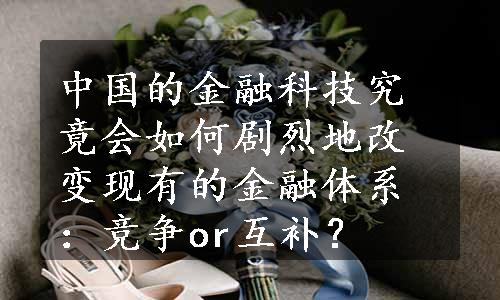 中国的金融科技究竟会如何剧烈地改变现有的金融体系：竞争or互补？