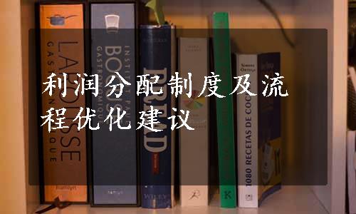 利润分配制度及流程优化建议