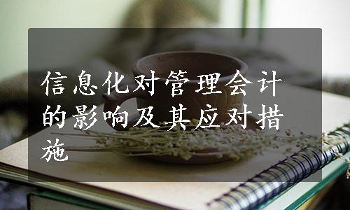 信息化对管理会计的影响及其应对措施