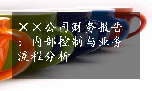 ××公司财务报告：内部控制与业务流程分析