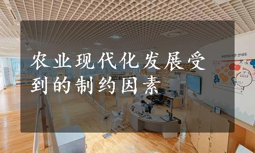 农业现代化发展受到的制约因素