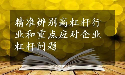 精准辨别高杠杆行业和重点应对企业杠杆问题