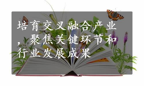 培育交叉融合产业，聚焦关键环节和行业发展成果