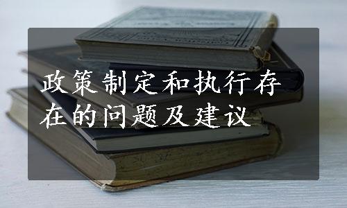 政策制定和执行存在的问题及建议