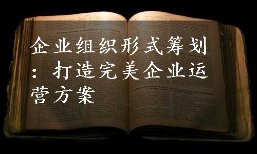 企业组织形式筹划：打造完美企业运营方案