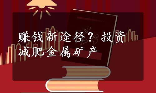 赚钱新途径？投资减肥金属矿产