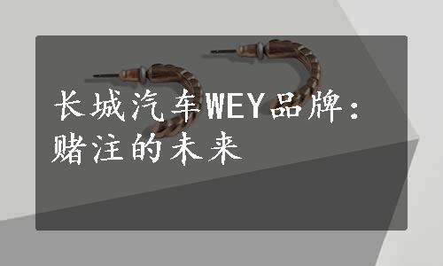 长城汽车WEY品牌：赌注的未来