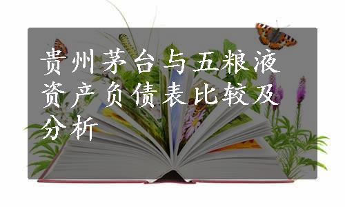 贵州茅台与五粮液资产负债表比较及分析