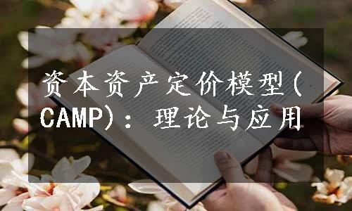 资本资产定价模型(CAMP)：理论与应用