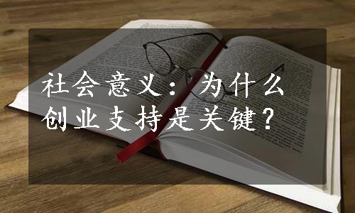 社会意义：为什么创业支持是关键？