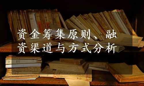 资金筹集原则、融资渠道与方式分析