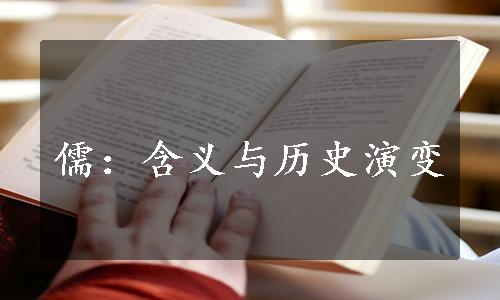 儒：含义与历史演变