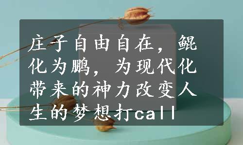 庄子自由自在，鲲化为鹏，为现代化带来的神力改变人生的梦想打call