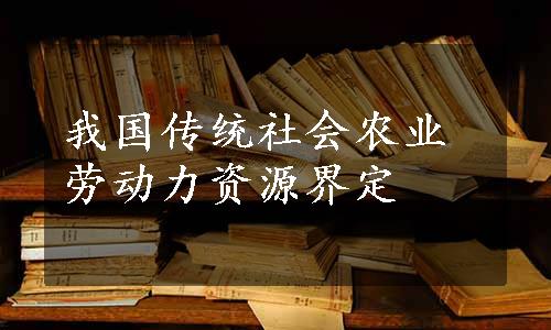 我国传统社会农业劳动力资源界定