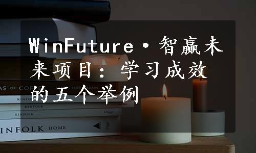 WinFuture·智赢未来项目：学习成效的五个举例