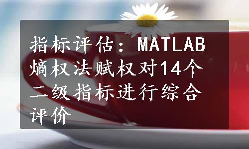 指标评估：MATLAB熵权法赋权对14个二级指标进行综合评价