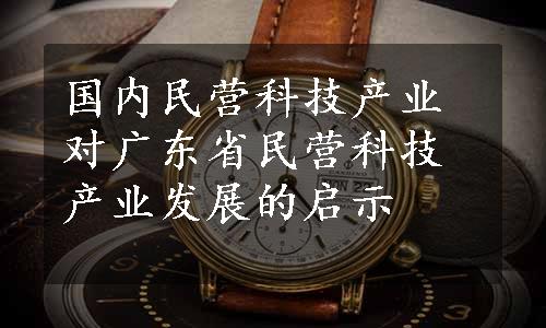 国内民营科技产业对广东省民营科技产业发展的启示