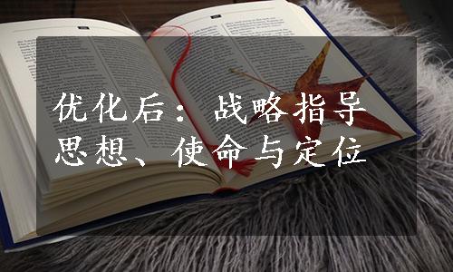 优化后：战略指导思想、使命与定位