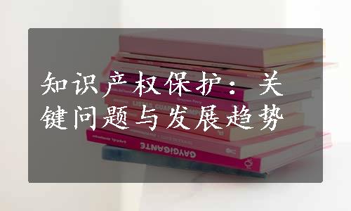 知识产权保护：关键问题与发展趋势