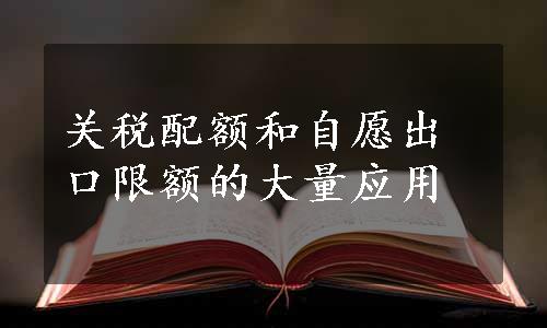 关税配额和自愿出口限额的大量应用