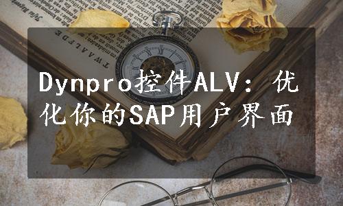 Dynpro控件ALV：优化你的SAP用户界面