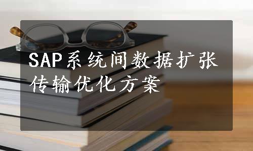 SAP系统间数据扩张传输优化方案