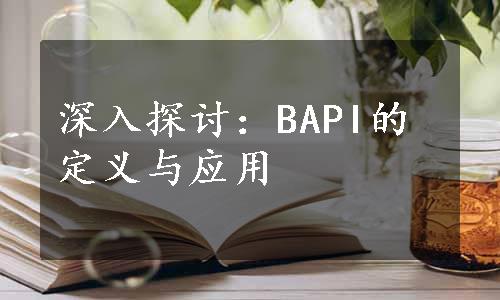 深入探讨：BAPI的定义与应用