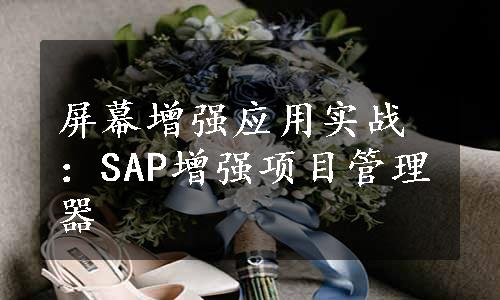 屏幕增强应用实战：SAP增强项目管理器