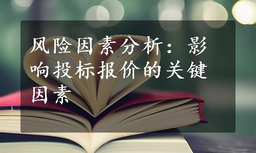 风险因素分析：影响投标报价的关键因素