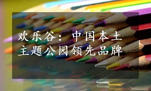 欢乐谷：中国本土主题公园领先品牌