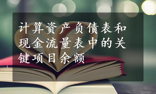 计算资产负债表和现金流量表中的关键项目余额