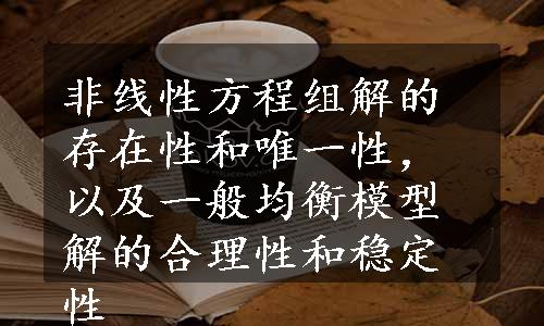 非线性方程组解的存在性和唯一性，以及一般均衡模型解的合理性和稳定性