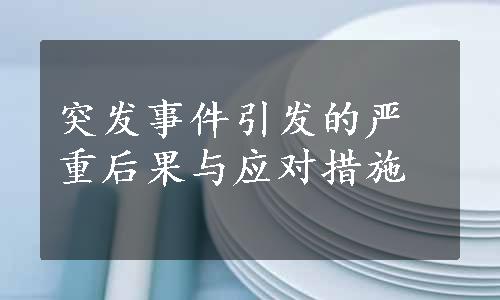 突发事件引发的严重后果与应对措施