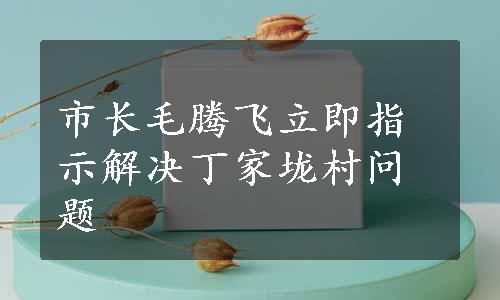 市长毛腾飞立即指示解决丁家垅村问题