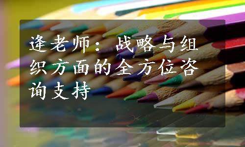 逄老师：战略与组织方面的全方位咨询支持