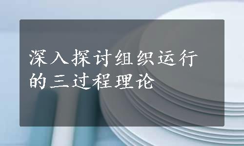 深入探讨组织运行的三过程理论