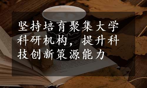 坚持培育聚集大学科研机构，提升科技创新策源能力