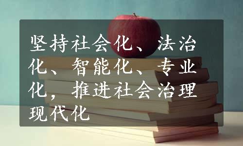 坚持社会化、法治化、智能化、专业化，推进社会治理现代化