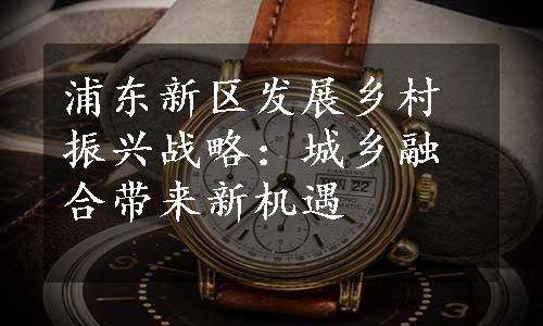 浦东新区发展乡村振兴战略：城乡融合带来新机遇