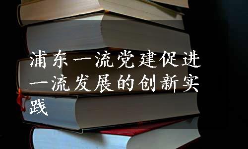 浦东一流党建促进一流发展的创新实践