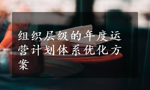 组织层级的年度运营计划体系优化方案