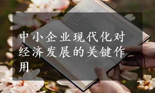 中小企业现代化对经济发展的关键作用