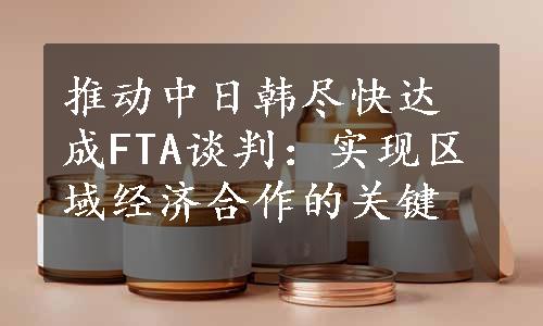 推动中日韩尽快达成FTA谈判：实现区域经济合作的关键