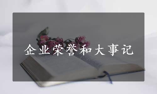 企业荣誉和大事记