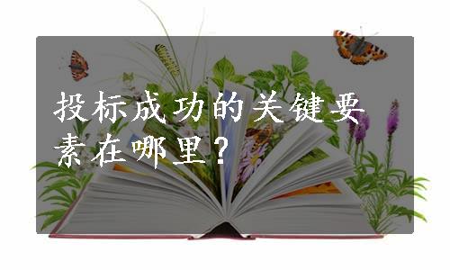 投标成功的关键要素在哪里？